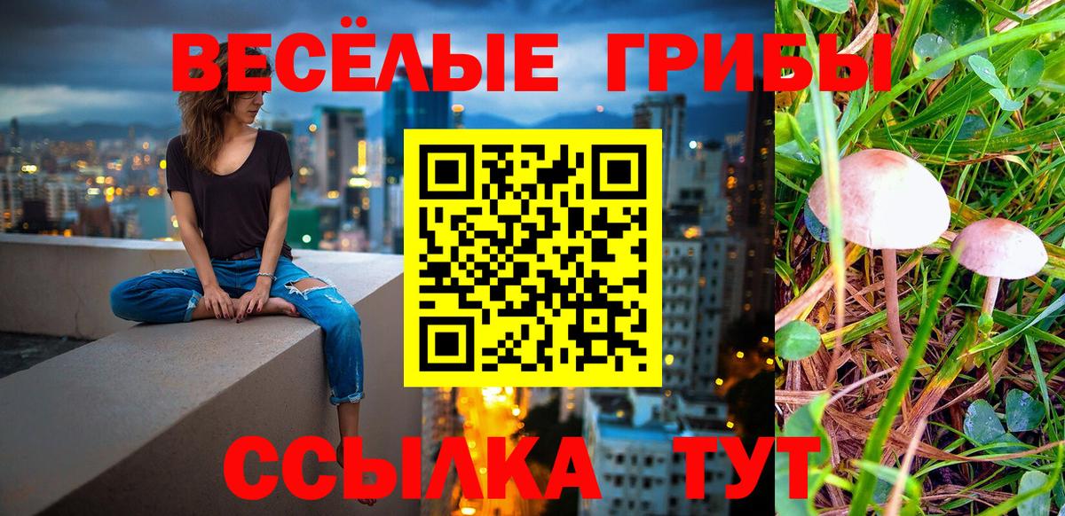 Кострома  купить закладку  Вход с VPN  Псилоцибиновые грибы мицелий 